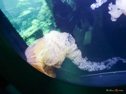 Tiergarten Schönbrunn am 23.03.2023